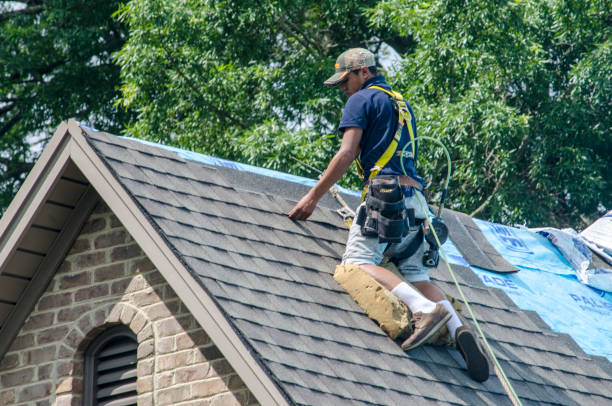 Best New Roof Installation  in Laurel, MT